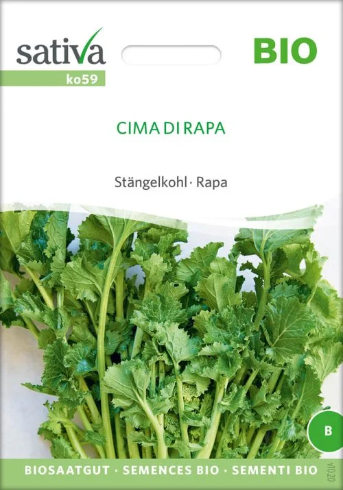 cima di rapa stÃ¤ngelkohl rot pro specie rara samen bio saatgut sativa kompost&liebe kaufen online shop