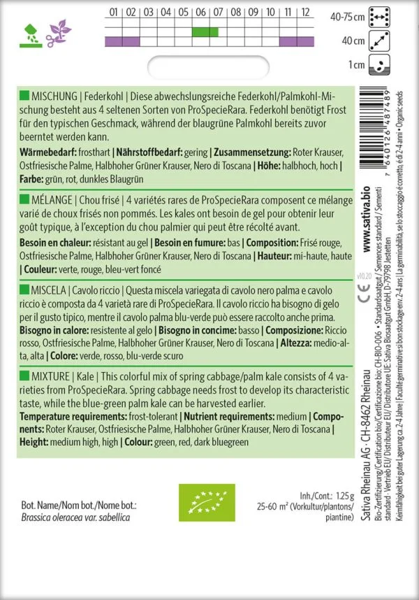 Grünkohl Mischung – Bild 2