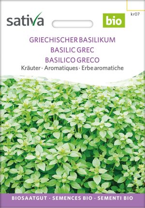 Griechischer Basilikum küchenkräuter kräuter pro specie rara samen bio saatgut sativa kompost&liebe kaufen online shop bestellen