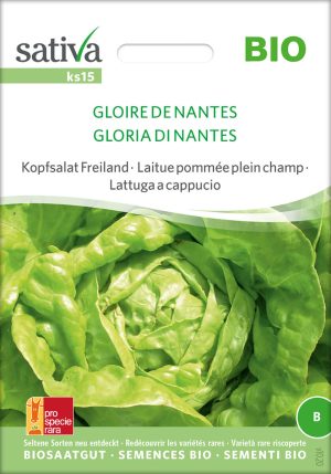 gloire de nantes kopsalat freiland rotSaatgut,Bio Sativa kompost und liebe kaufen alte sorten samenfest online shop garten selbstversorger