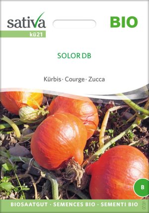solor db Kürbis Speisekürbis alte sorte bioverita pro specie rara samen bio saatgut sativa kompost&liebe kaufen online shop