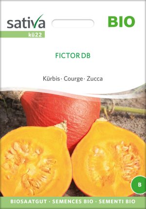 fictor db Kürbis Speisekürbis alte sorte bioverita pro specie rara samen bio saatgut sativa kompost&liebe kaufen online shop