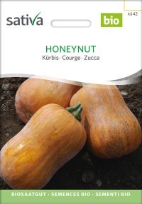 Honeynut Kürbis Speisekürbis alte sorte bioverita pro specie rara samen bio saatgut sativa kompost&liebe kaufen online shop