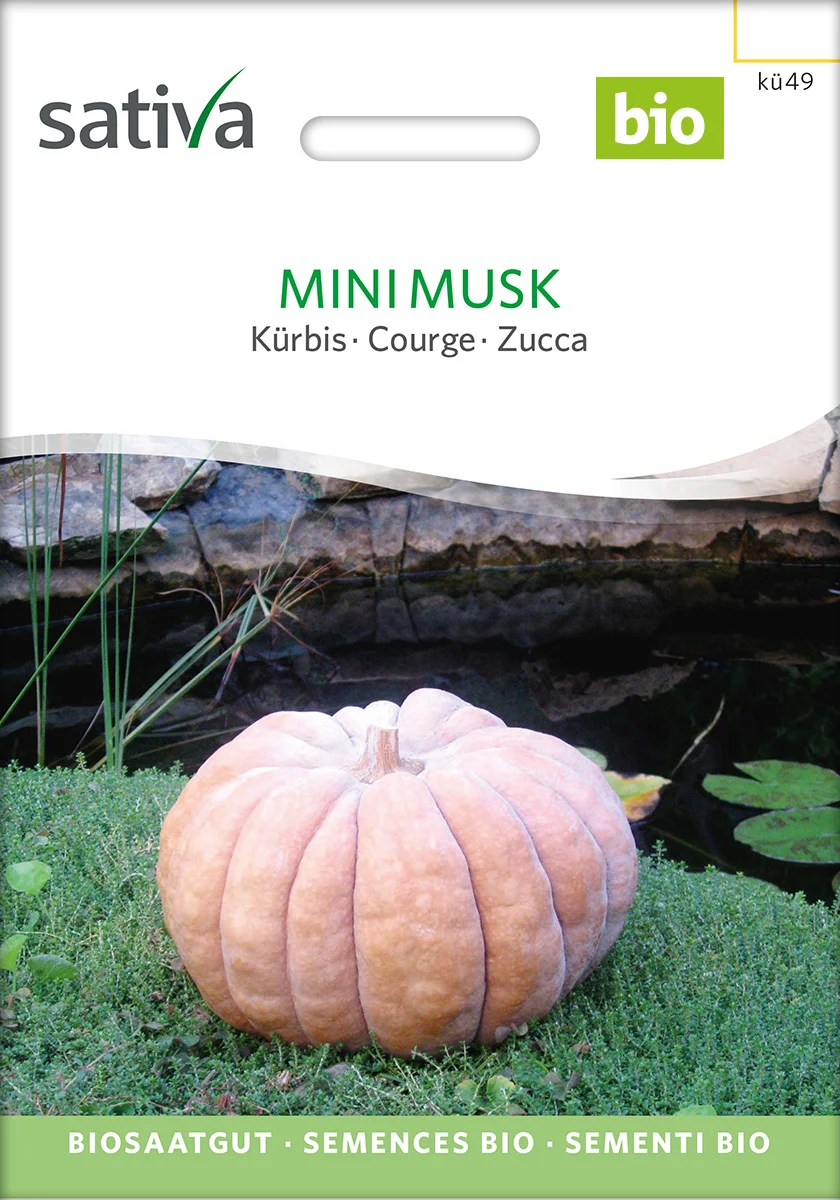 Mini Musk 1 Mini Musk Kürbis Speisekürbis alte sorte bioverita pro specie rara samen bio saatgut sativa kompost&liebe kaufen online shop