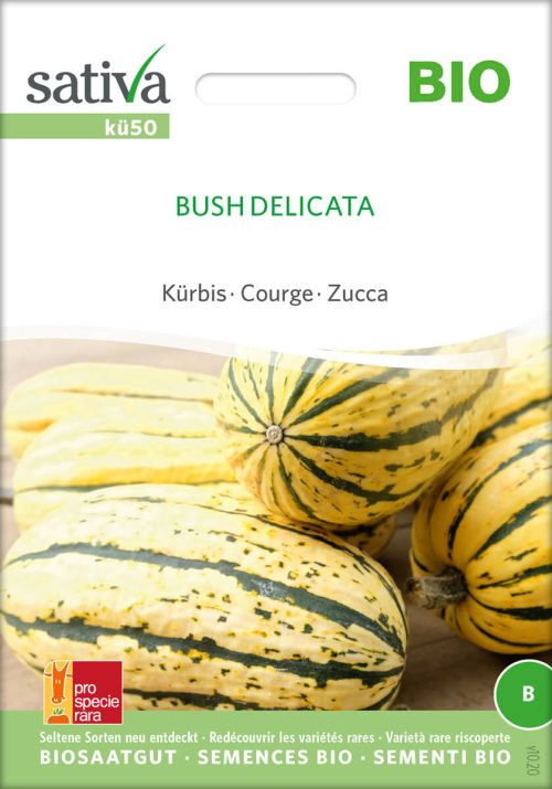 Bush Delicata Kürbis Speisekürbis alte sorte bioverita pro specie rara samen bio saatgut sativa kompost&liebe kaufen online shop