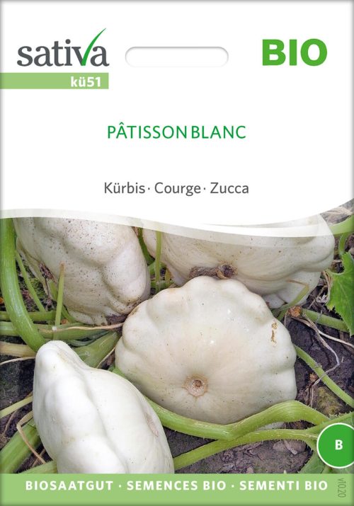 Pâtisson Blanc Patisson Kürbis Bischofsmütze Speisekürbis alte sorte bioverita pro specie rara samen bio saatgut sativa kompost&liebe kaufen online shop