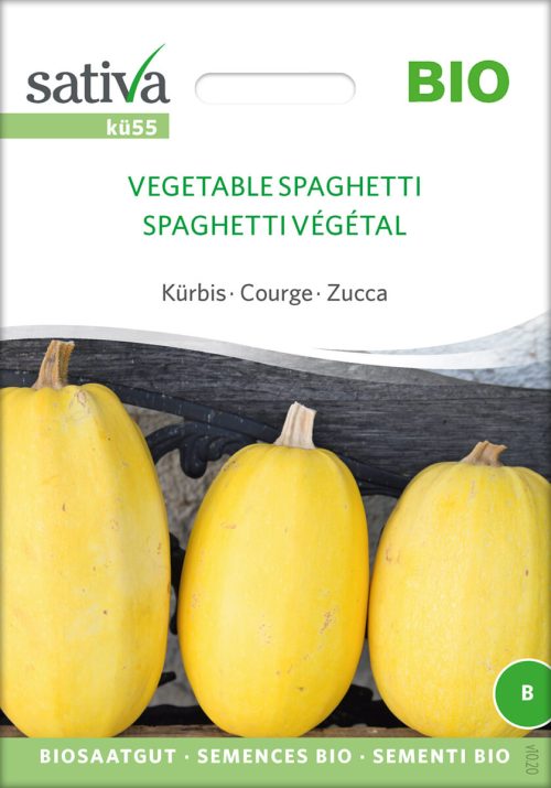 vegetable spaghetti Kürbis Speisekürbis alte sorte bioverita pro specie rara samen bio saatgut sativa kompost&liebe kaufen online shop