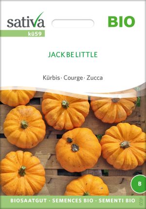 jack be little Kürbis Speisekürbis alte sorte bioverita pro specie rara samen bio saatgut sativa kompost&liebe kaufen online shop