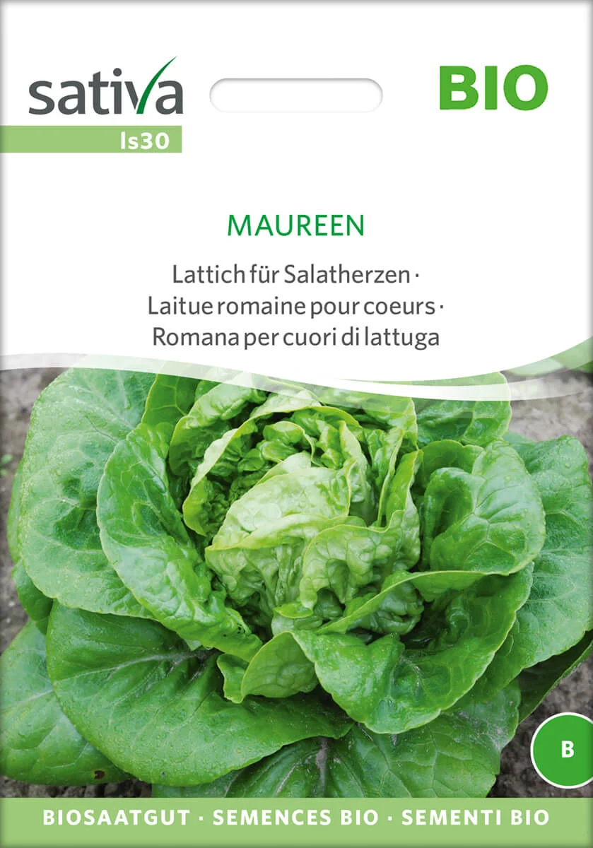 Maureen 1 Valmaine salatherzen lattich romanasalat römersalat Saatgut,Bio Sativa kompost und liebe kaufen alte sorten samenfest online shop garten selbstversorger