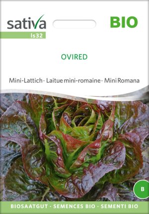 ovired salat lattich romanasalat römersalat Saatgut,Bio Sativa kompost und liebe kaufen alte sorten samenfest online shop garten selbstversorger