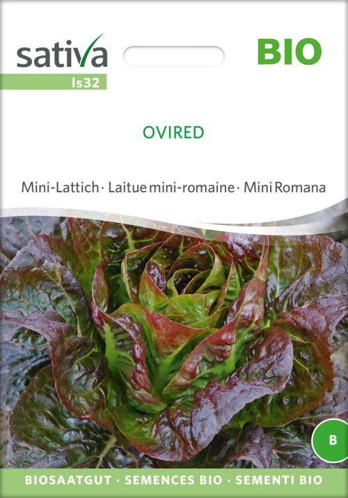 ovired salat lattich romanasalat rÃ¶mersalat Saatgut,Bio Sativa kompost und liebe kaufen alte sorten samenfest online shop garten selbstversorger