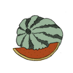melonen zuckermelone honigmelone samen kompost und liebe saatgut kaufen online shop alte sorten samenfest bio demeter