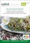 Broccoli Brokkoli Sprossen Keimsprossen Keimling Microgreen