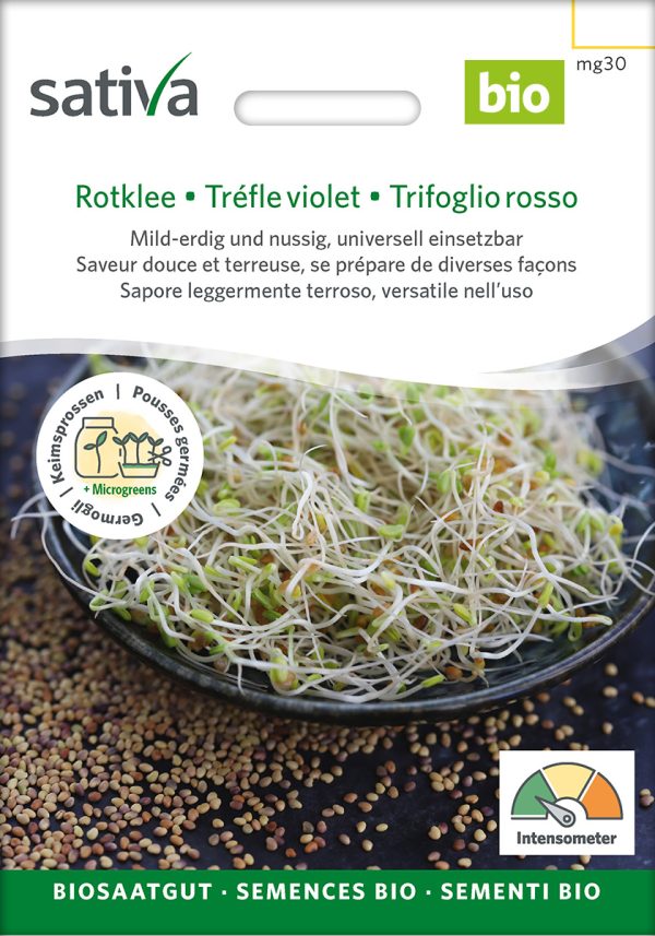 Rotklee Keimsprossen Sprossen microgreens Keimsprossen Keimling Microgreen samen saatgut bio