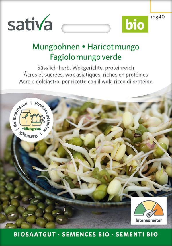 Mungbohnen Keimsprossen Sprossen microgreens Keimsprossen Keimling Microgreen samen saatgut bio kaufen