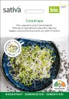 Cima di rapa Keimsprossen Sprossen microgreens Keimsprossen Keimling Microgreen samen saatgut bio