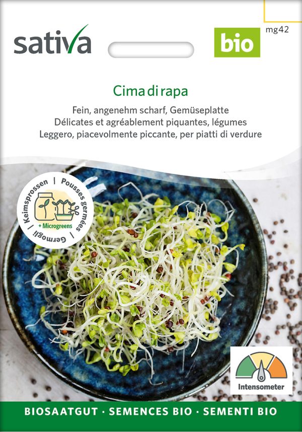 Cima di rapa Keimsprossen Sprossen microgreens Keimsprossen Keimling Microgreen samen saatgut bio