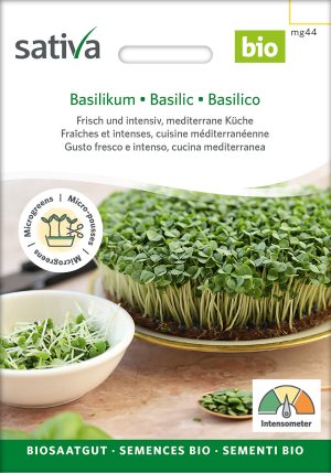 Basilikum Sprossen microgreens Keimsprossen Keimling Microgreen