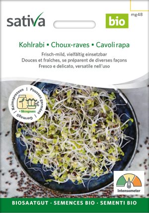 Kohlrabi Keimsprossen Sprossen microgreens Keimsprossen Keimling Microgreen samen saatgut bio