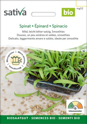 Spinat Keimsprossen Sprossen microgreens Keimsprossen Keimling Microgreen samen saatgut bio kaufen