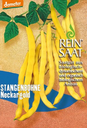 Neckargold-stangenbohnen samen -reinsaat bio, samenfestes saatgut, bei Kompost&Liebe kaufen