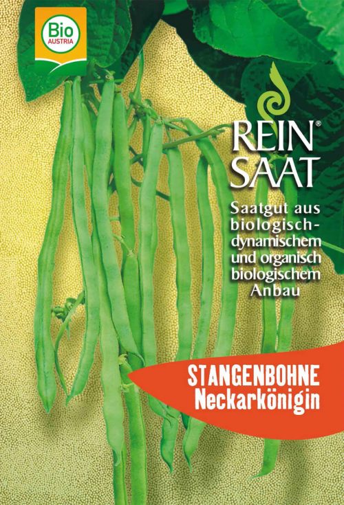 neckarkoÌˆnigin-stangenbohne-reinsaat samen -reinsaat bio, samenfestes saatgut, bei Kompost&Liebe kaufen