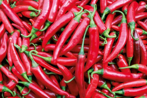 chili chilli pfefferomni aciburun rot paprika gemüse samen sativa reinsaat kompost&liebe kompost und liebe bio demeter düngung saatgut samen