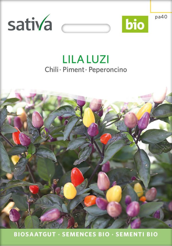 Chili Chilli lila luzi bio demeter gemüse samen sativa reinsaat kompost&liebe kompost und liebe bio demeter düngung saatgut samen reinsaat kaufen