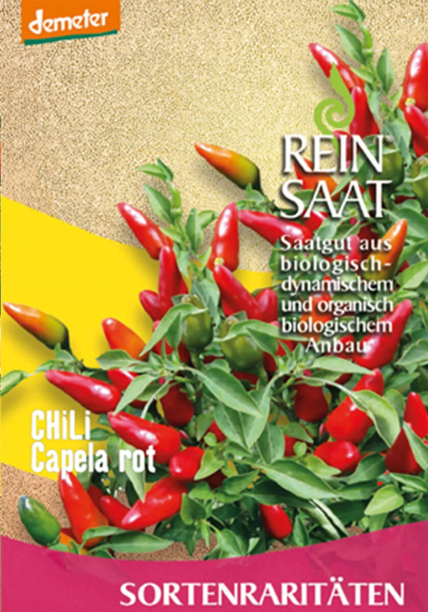 Capela Rot 1 chili chilli capela rot paprika gemüse samen sativa reinsaat kompost&liebe kompost und liebe bio demeter düngung saatgut samen