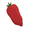 tomaten pelatitomaten alte sorte bio saatgut kaufen samenfest sativa alte sorten vielfalt garten anbauen pflanzen reinsaat kompost&liebe kompost und liebe bio demeter düngung saatgut samen