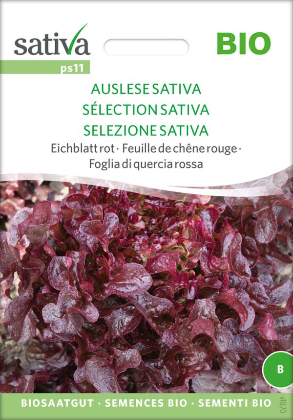 Auslese Sativa Pumukel Eichblatt Salat rot pro specie rara samen bio saatgut sativa kompost&liebe kaufen online shop