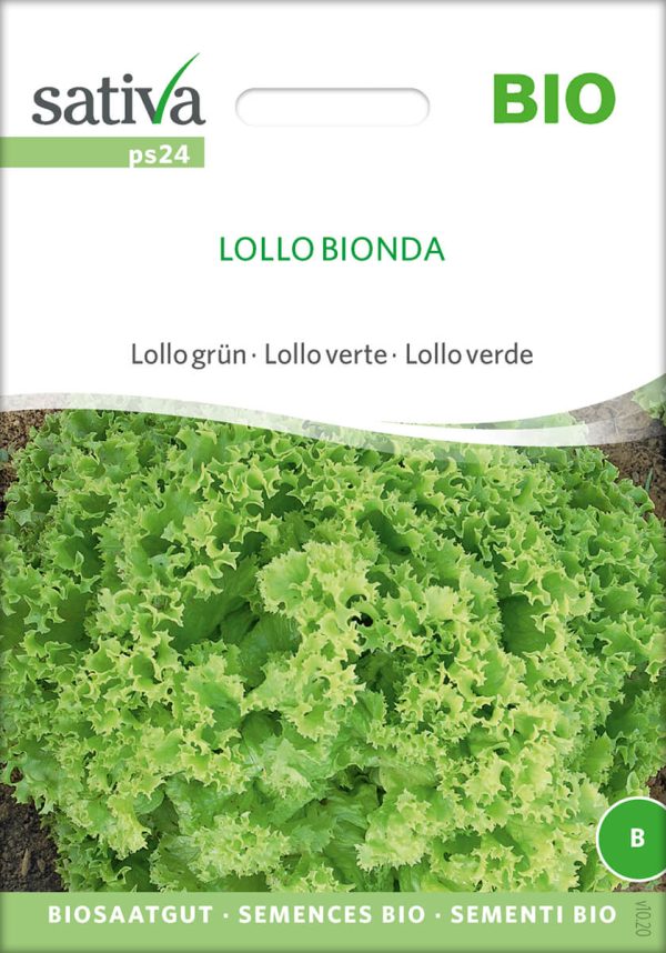 lollo bionda pflücksalat lollo rosso, lollo verde, salat freiland Saatgut,Bio Sativa kompost und liebe kaufen alte sorten samenfest online shop garten selbstversorger kaufen bestellen