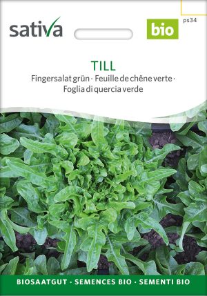 TIll Fingersalat Pflücksalat Saatgut,Bio Sativa kompost und liebe kaufen alte sorten samenfest online shop garten selbstversorger permakultur kaufen alte Sorte