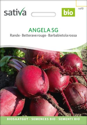 angela sg rote beete rande Saatgut,Bio Sativa kompost und liebe kaufen alte sorten samenfest online shop garten selbstversorger