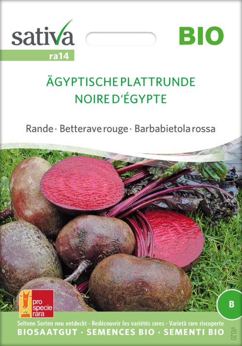 ägyptische Plattrunde Rote Beete sativa saatgut samen kompost und liebe bio