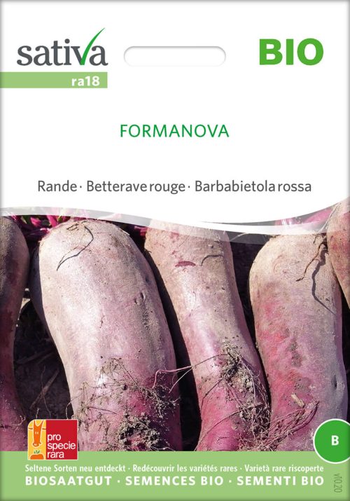 Formanova rote beete rande Saatgut,Bio Sativa kompost und liebe kaufen alte sorten samenfest online shop garten selbstversorger