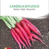 Candela di Fuoco Radieschen , pro specie rara samen bio saatgut sativa kompost&liebe kaufen online shop