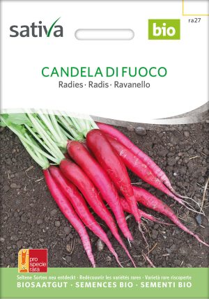 Candela di Fuoco Radieschen , pro specie rara samen bio saatgut sativa kompost&liebe kaufen online shop