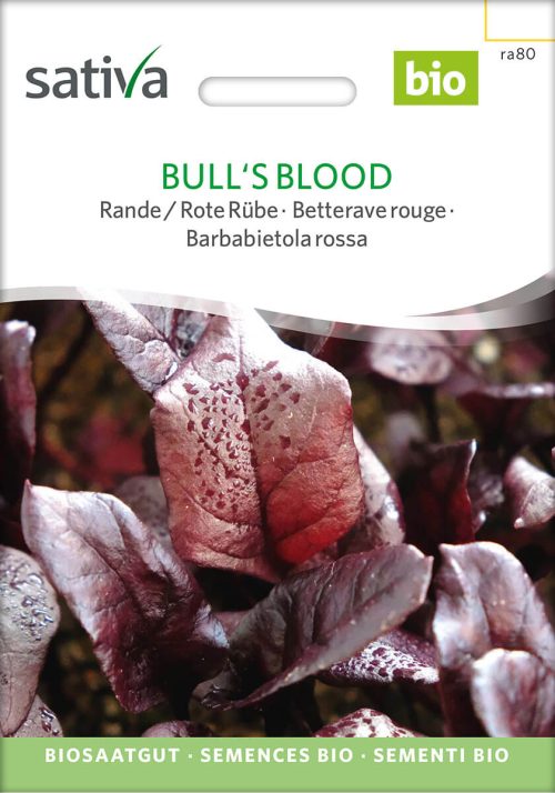 BullÂ´s Blood BullÂ´s Blood bulls blood rote beete rande Saatgut,Bio Sativa kompost und liebe kaufen alte sorten samenfest online shop garten selbstversorger