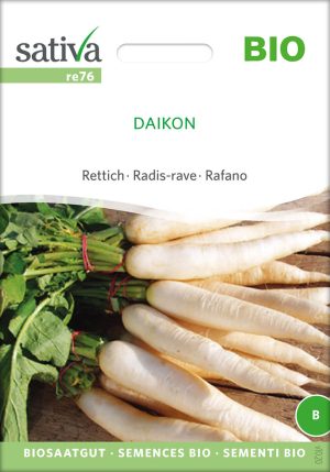 Daikon Rettich Saatgut,Bio Sativa kompost und liebe kaufen alte sorten samenfest online shop garten selbstversorger