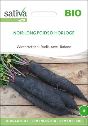 Noir long poids d´horloge winterrettich Saatgut,Bio Sativa kompost und liebe kaufen alte sorten samenfest online shop garten selbstversorger