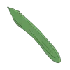 saure gurke einlegegurke cocktailgurke Salatgurke Schlangengurke bio saatgut kaufen samenfest sativa alte sorten vielfalt garten anbauen pflanzen reinsaat kompost&liebe kompost und liebe bio demeter düngung saatgut samen