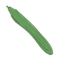 saure gurke einlegegurke cocktailgurke Salatgurke Schlangengurke bio saatgut kaufen samenfest sativa alte sorten vielfalt garten anbauen pflanzen reinsaat kompost&liebe kompost und liebe bio demeter düngung saatgut samen