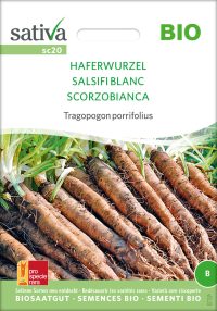 haferwurzel schwarzwurzel, pro specie rara samen bio saatgut sativa kompost&liebe kaufen online shop