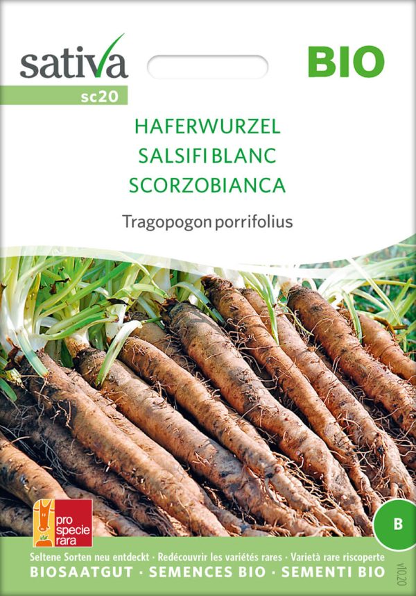 haferwurzel schwarzwurzel, pro specie rara samen bio saatgut sativa kompost&liebe kaufen online shop