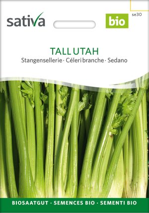 Tall Utah Stangensellerie Bio samenfest samen saatgut sativa freiland alte sorte bioverita prospeciepara kompost&liebe kaufen online shop Demeter bestellen