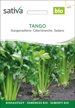 Stangensellerie Tango Bio samenfest samen saatgut sativa freiland alte sorte bioverita prospeciepara kompost&liebe kaufen online shop Demeter bestellen