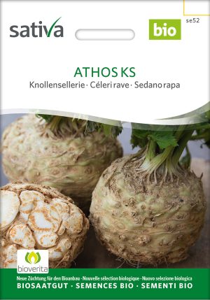 Athos KS knollensellerie auslese alte sorte karotte möhre bioverita pro specie rara samen bio saatgut sativa kompost&liebe kaufen online shop
