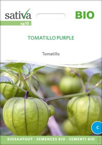 Tomatillo Purple Physalis alte sorte bioverita pro specie rara samen bio saatgut sativa kompost&liebe kaufen online shop
