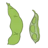 sojabohne edamame samen bio saatgut kaufen samenfest sativa alte sorten vielfalt garten anbauen pflanzen reinsaat kompost&liebe kompost und liebe bio demeter düngung saatgut samen